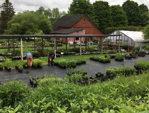 This Garden Tea Room In Vermont Is Like Something From A Fairytale