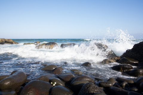 Tour The Galapagos Of Alaska To See The Most Incredible Wildlife