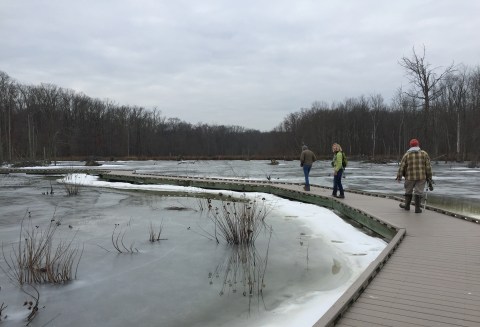 You Might Not Like These Predictions About Virginia's Snowy And Wet Upcoming Winter