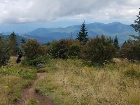 This Delicious Blueberry Hike In North Carolina Will Wind Down Your Summer In All The Right Ways