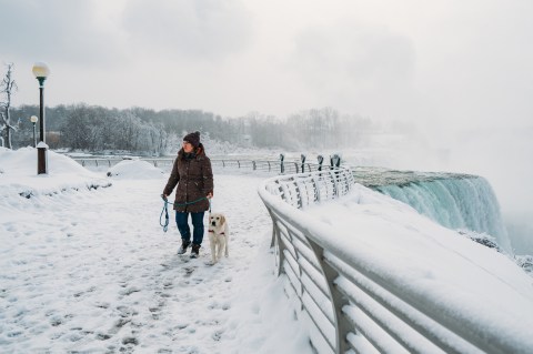 You’ll Be Pleased To Hear That New York’s Upcoming Winter Is Supposed To Be More Mild Than Last Year's