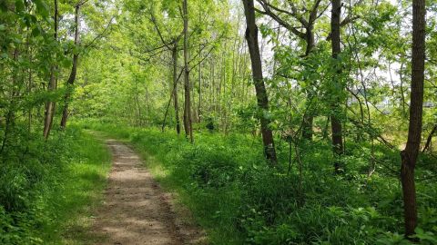 Few People Know There’s A West Virginia Island You Can Walk To