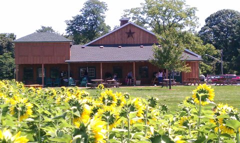 You'll Have Loads Of Fun At This Dairy Farm In Maryland With Incredible Ice Cream