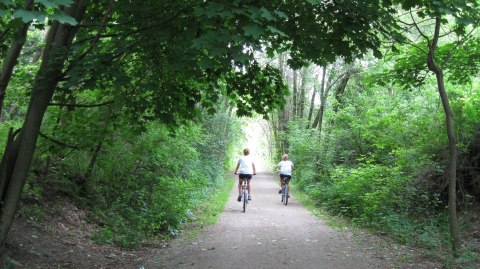 The Shady, Creekside Trail In Michigan You'll Want To Hike Again And Again