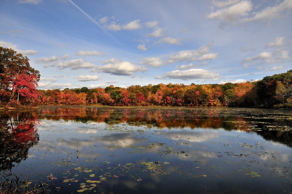 Connecticut banner image