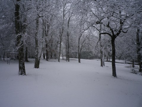 You'll Be Pleased To Hear That Alabama's Upcoming Winter Is Supposed To Be Warmer Than Normal