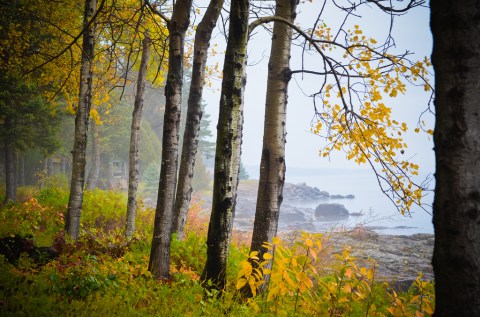 The Awesome Hike That Will Take You To The Most Spectacular Fall Foliage In Minnesota
