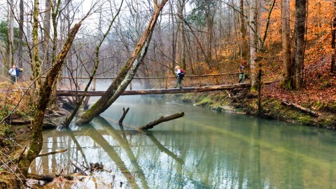 The Canyon Waterfall Hike In Tennessee That Will Overwhelm You With Natural Beauty