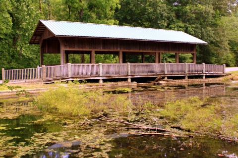 The Enchanting Covered Bridge Hike In Tennessee That's Perfect For An Autumn Day