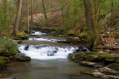 The Shady, Creekside Trail In Tennessee You'll Want To Hike Again And Again