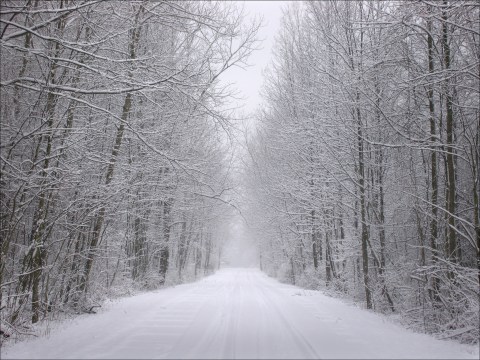 You'll Be Pleased To Hear That Ohio's Upcoming Winter Is Supposed To Be Way Warmer Than Last Year's