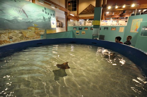 Not Many People Know About This Marine Museum Right Here In Maryland