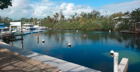 You Can Have Pizza Delivered To You At This Underwater Lodge In Florida