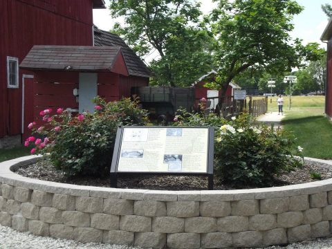 Most People Have No Idea This Amazing Farm Park In Illinois Even Exists