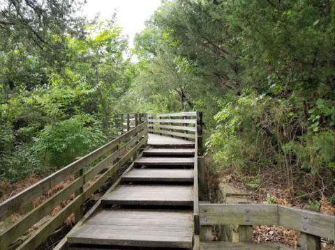 This Illinois Park Has Endless Boardwalks And You'll Want To Explore Them All