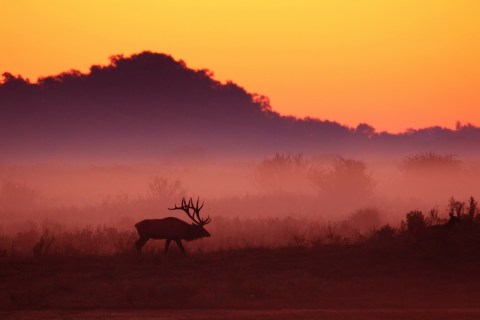 The Outdoor Adventure You Never Knew You Could Have In Kentucky