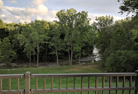 Most People Have No Idea This Unique Sanctuary Right Outside Of Buffalo Exists