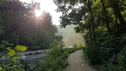 The Ultimate Bucket List For Anyone In Virginia Who Loves Waterfall Hikes