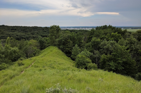 The Incredible Iowa Park You’ll Want To Visit Over And Over Again