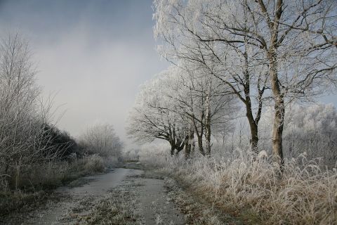 You'll Be Pleased To Hear That Illinois' Upcoming Winter Is Supposed To Be Way Warmer Than Last Year's