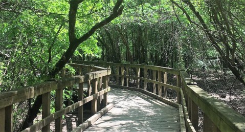 There's Always Something To Spot Along This Arkansas Nature Trail