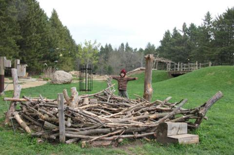 Most People Don’t Know About This Underrated Zoo Hiding In Minnesota