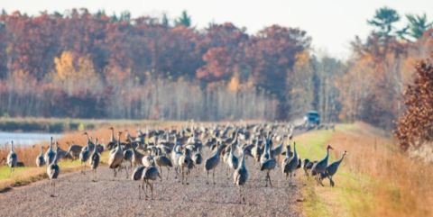 This Little Known Wildlife Area Is One Of The Best Birdwatching Spots In The U.S.