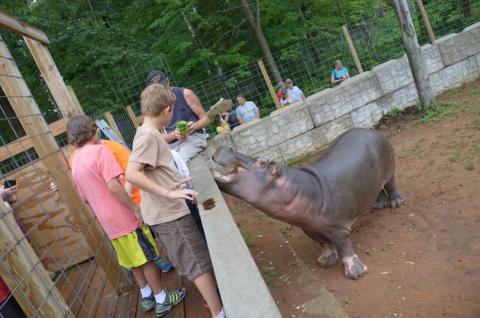 Most People Don’t Know About This Underrated Zoo Hiding In Michigan