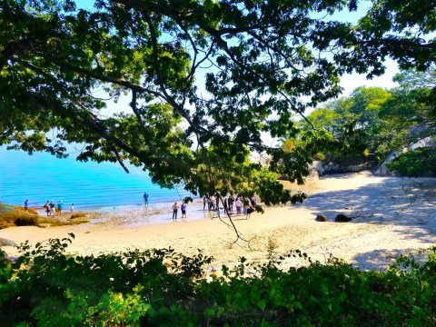 A Secret Tropical Beach In Massachusetts, The Water At Half Moon Beach Is A Mesmerizing Blue