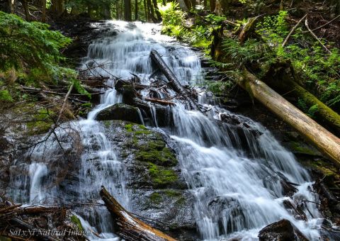 The Magnificent Bridge Trail In Washington That Will Lead You To A Hidden Waterfall