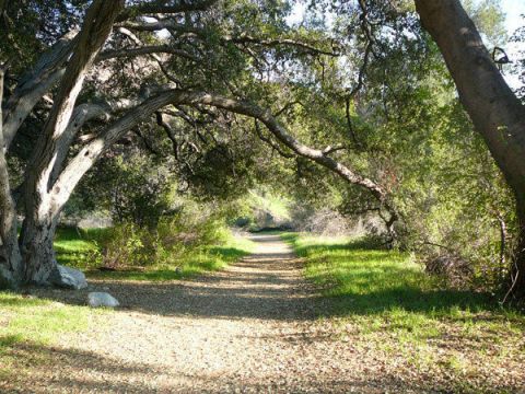 Your Kids Will Love This Easy 3-Mile Waterfall Hike Right Here In Southern California