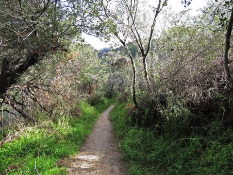 The Canyon Waterfall Hike In Southern California That Will Overwhelm You With Natural Beauty