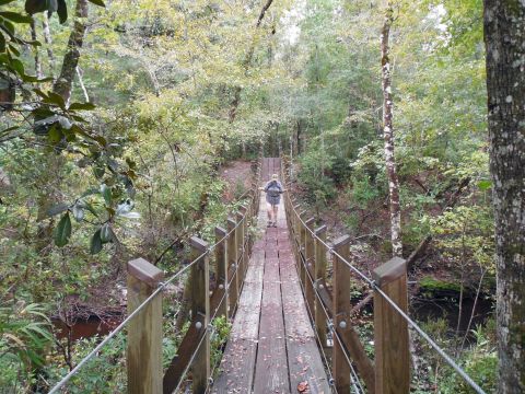 The Shady, Creekside Trail In Florida You'll Want To Hike Again And Again