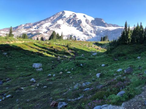 These 9 Stunning Washington Trails Have The Best Mountain Views