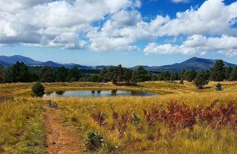 The Enchanting Arizona Trail That's Perfect For Everyone