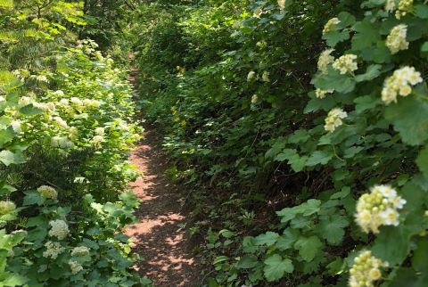 Take This Ancient Utah Trail To Get In Touch With Nature