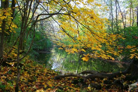 The Unique Family Hike Near Cincinnati That Offers The Perfect Adventure Anytime Of Year