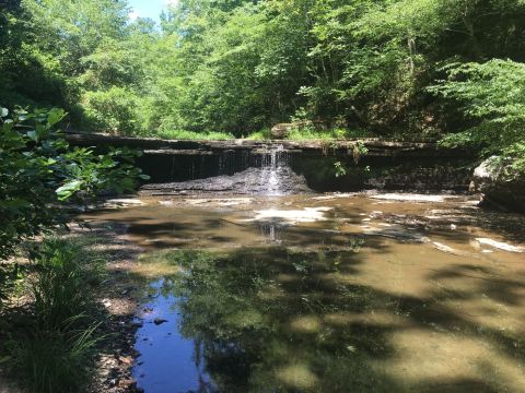 Outdoor Enthusiasts Will Love This Tucked Away Park In Arkansas