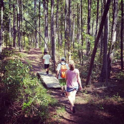 Not Many People Know This State Park In South Carolina Is Riddled With Massive Sinkholes