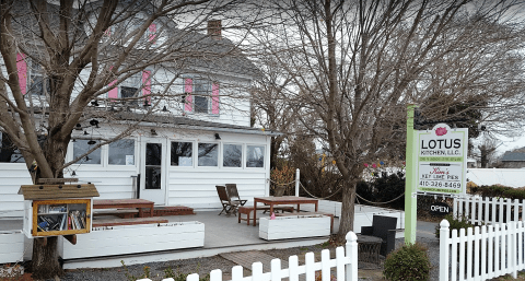 The Best Key Lime Pie Is Made Daily Inside Lotus Kitchen, A Humble Little Maryland Restaurant