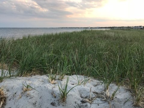 Experience True Relaxation With These 8 Gorgeous Beach Walks in Maine