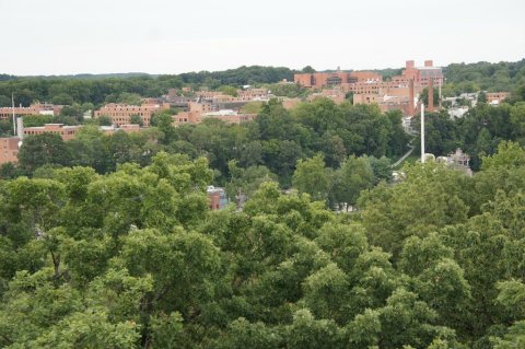 The Breathtaking Overlook In Delaware That Lets You See For Miles And Miles