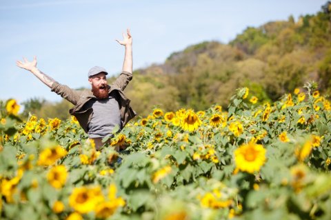 There’s An Enormous Sunflower Maze In Cincinnati That’s Just As Magnificent As It Sounds