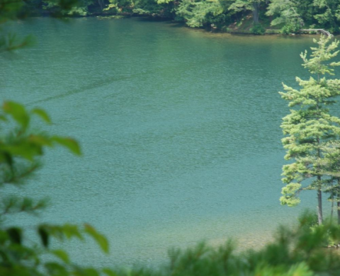 Visit This Magical Vermont Lake With Emerald Waters For One Last Taste Of Summer