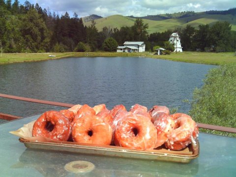 Some Of The Best Donuts Are Made Daily Inside Windmill Village, A Humble Little Montana Bakery