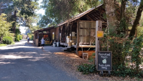 The World’s Freshest Jams Are Tucked Away At This Hidden Northern California Farm