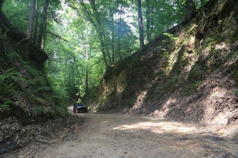 Step Back In Time With A Visit To This Nearly Unchanged Civil War Battlesite In Mississippi