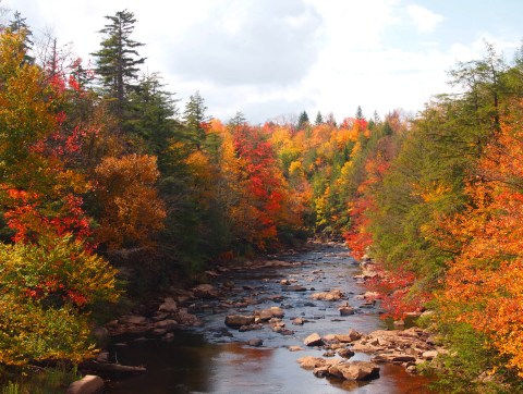 You'll Be Happy To Hear That West Virginia's Fall Foliage Is Expected To Be Bright And Bold This Year