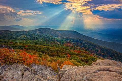 You'll Be Happy To Hear That Virginia's Fall Foliage Is Expected To Be Bright And Bold This Year