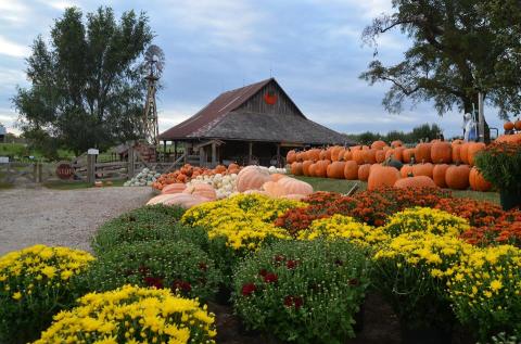 This Historic Farm In Missouri Is Begging To Be Visited This Fall